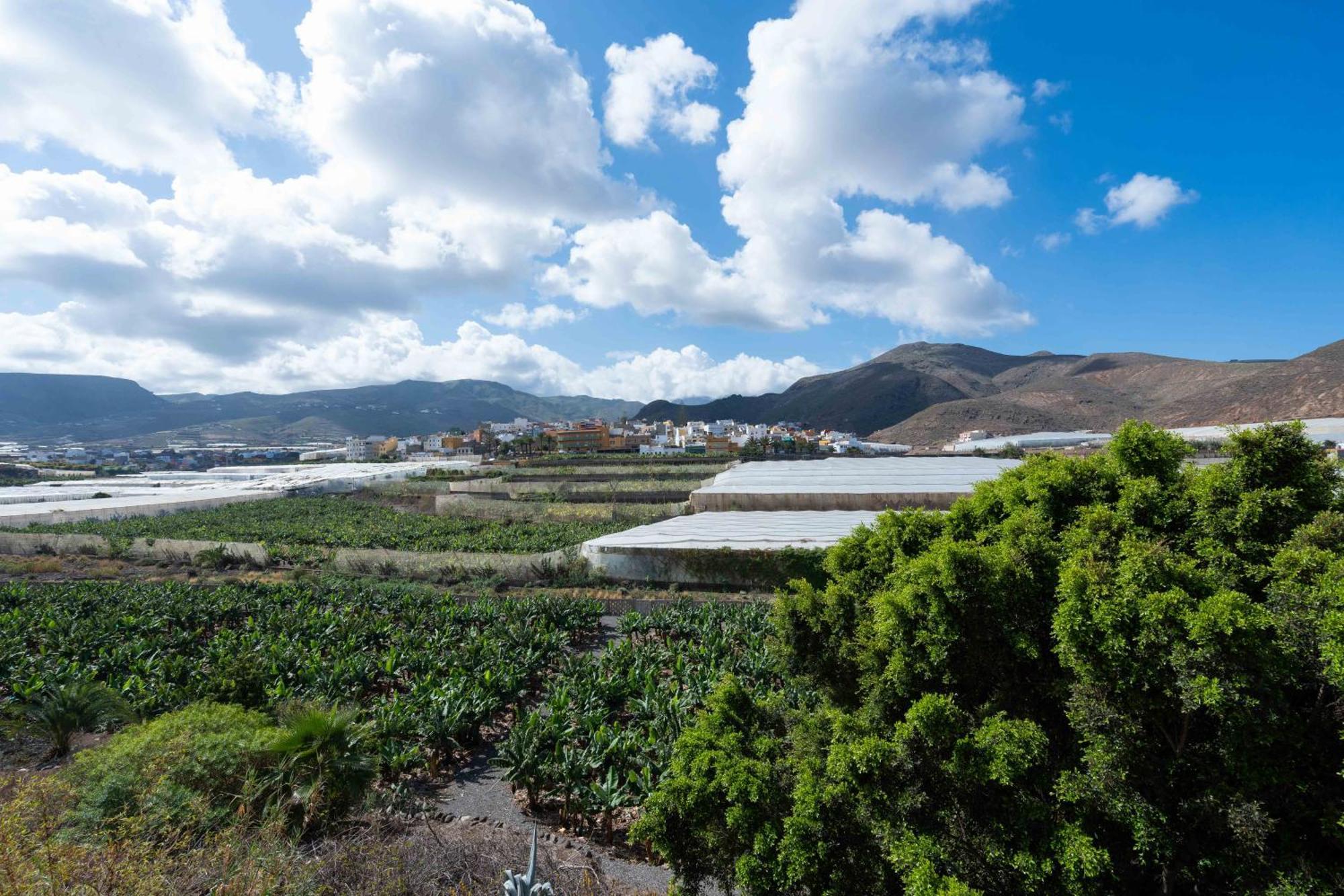 Las Fajanas De Galdar Las Palmas de Gran Canaria Eksteriør bilde
