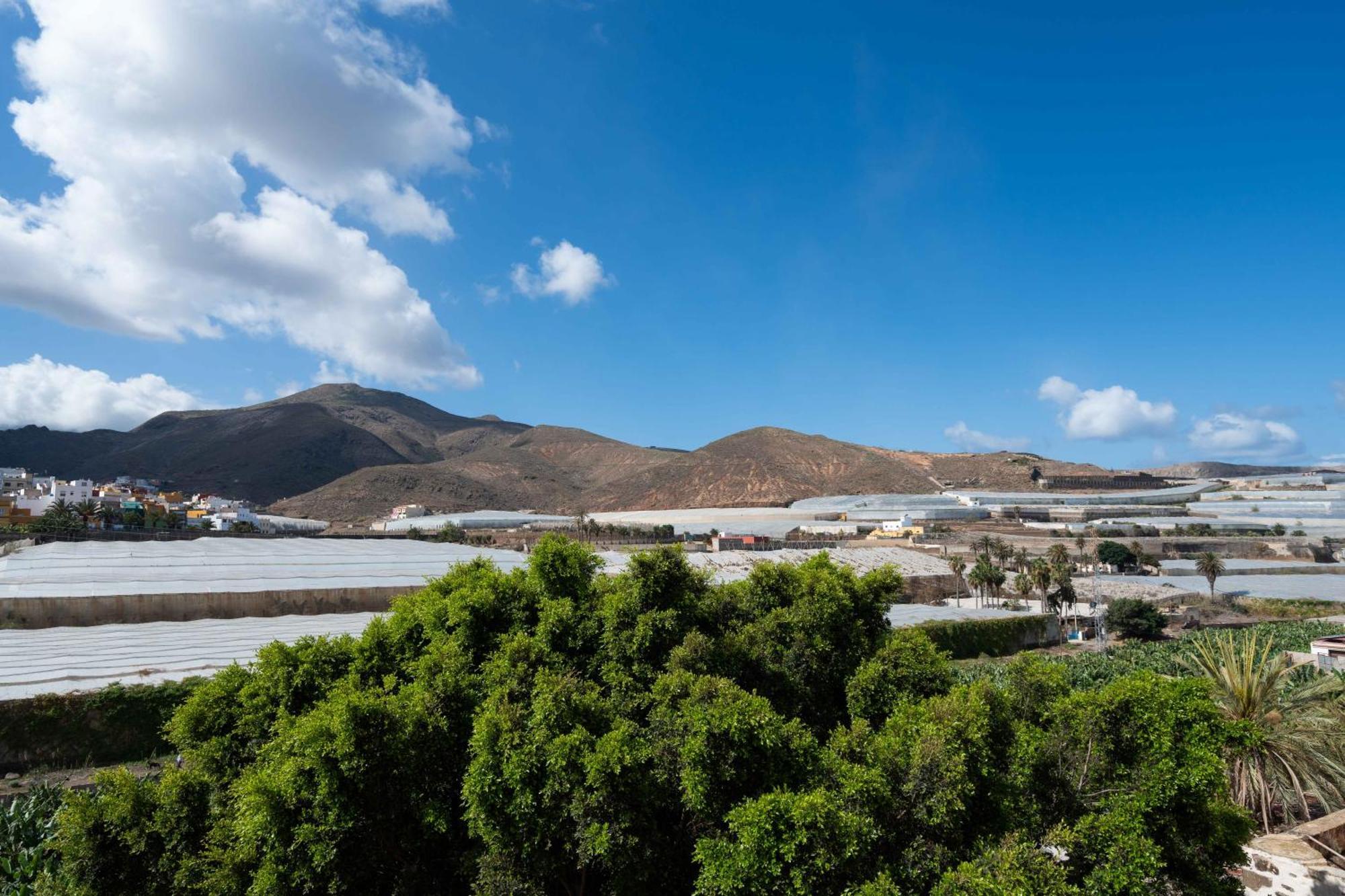 Las Fajanas De Galdar Las Palmas de Gran Canaria Eksteriør bilde
